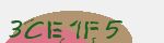 Mã bảo mật